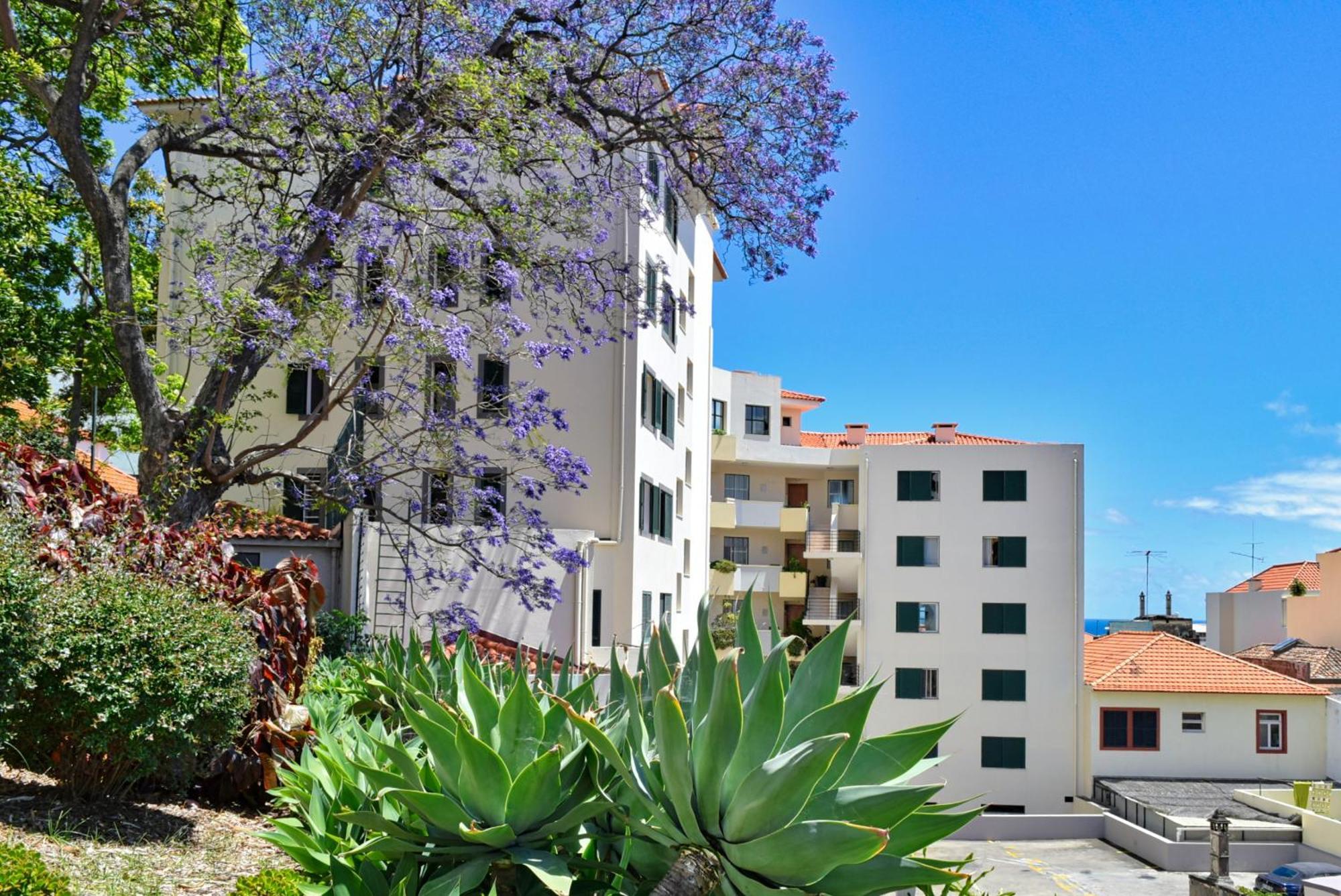 Encarnacao Apartment, A Home In Madeira Funchal  Eksteriør billede